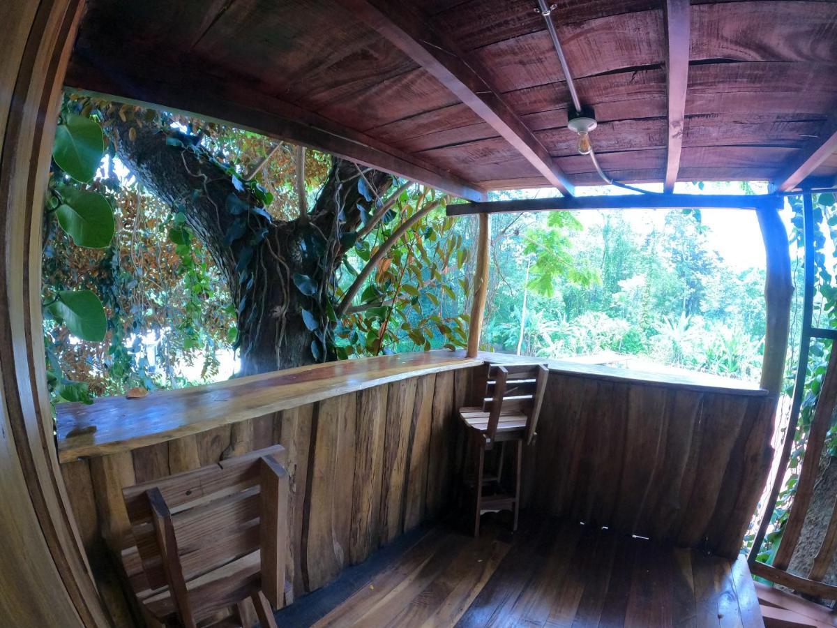 Tree House Samanea Lodge 利蒙港 外观 照片