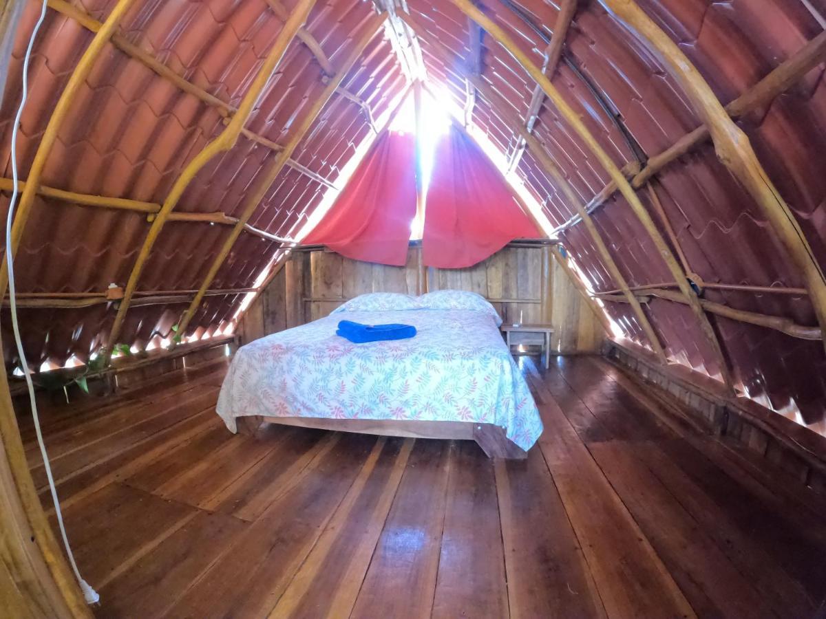 Tree House Samanea Lodge 利蒙港 外观 照片