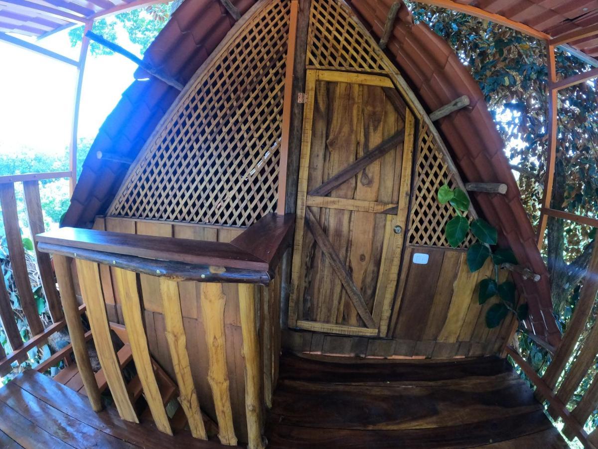 Tree House Samanea Lodge 利蒙港 外观 照片