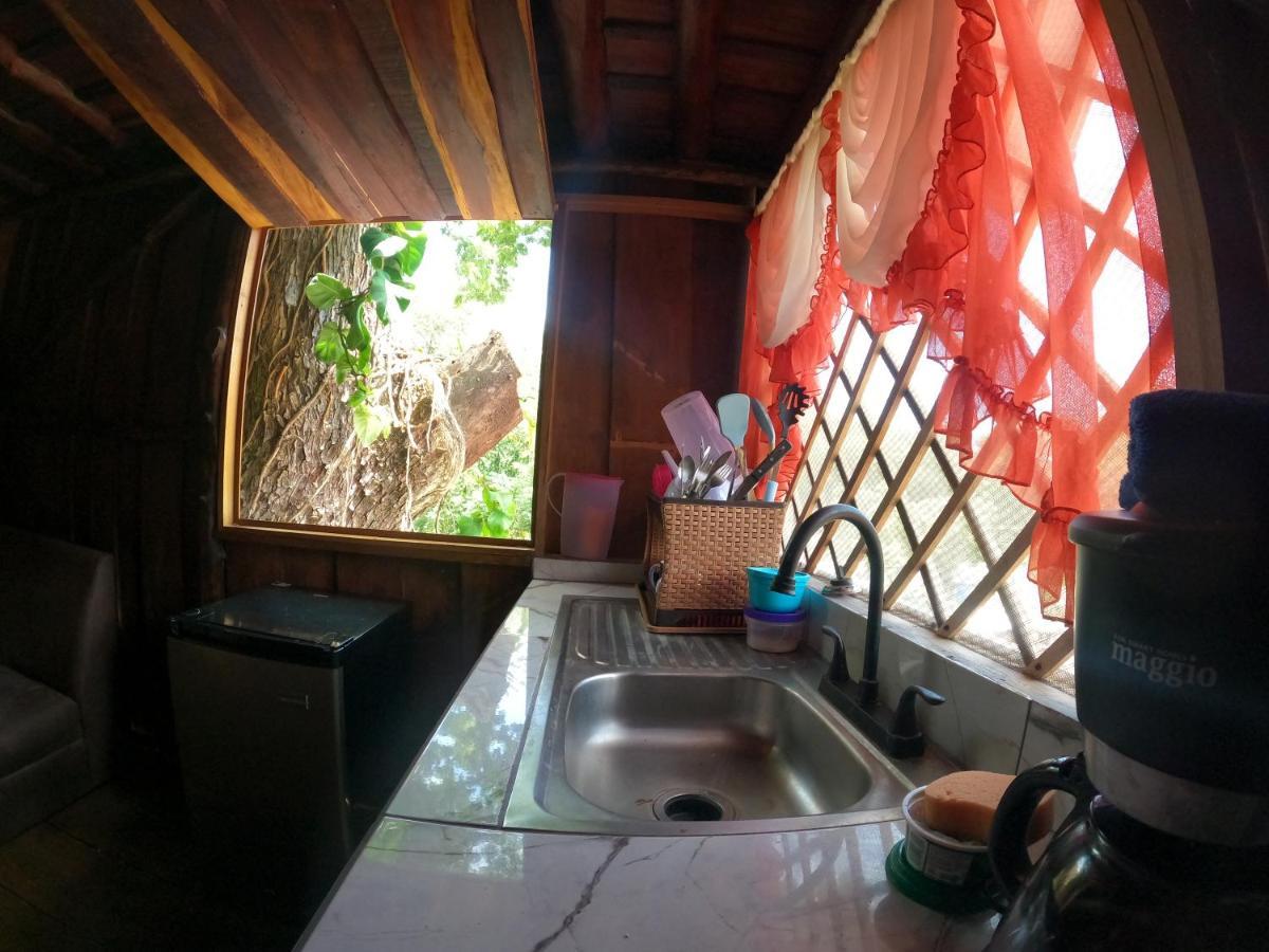 Tree House Samanea Lodge 利蒙港 外观 照片