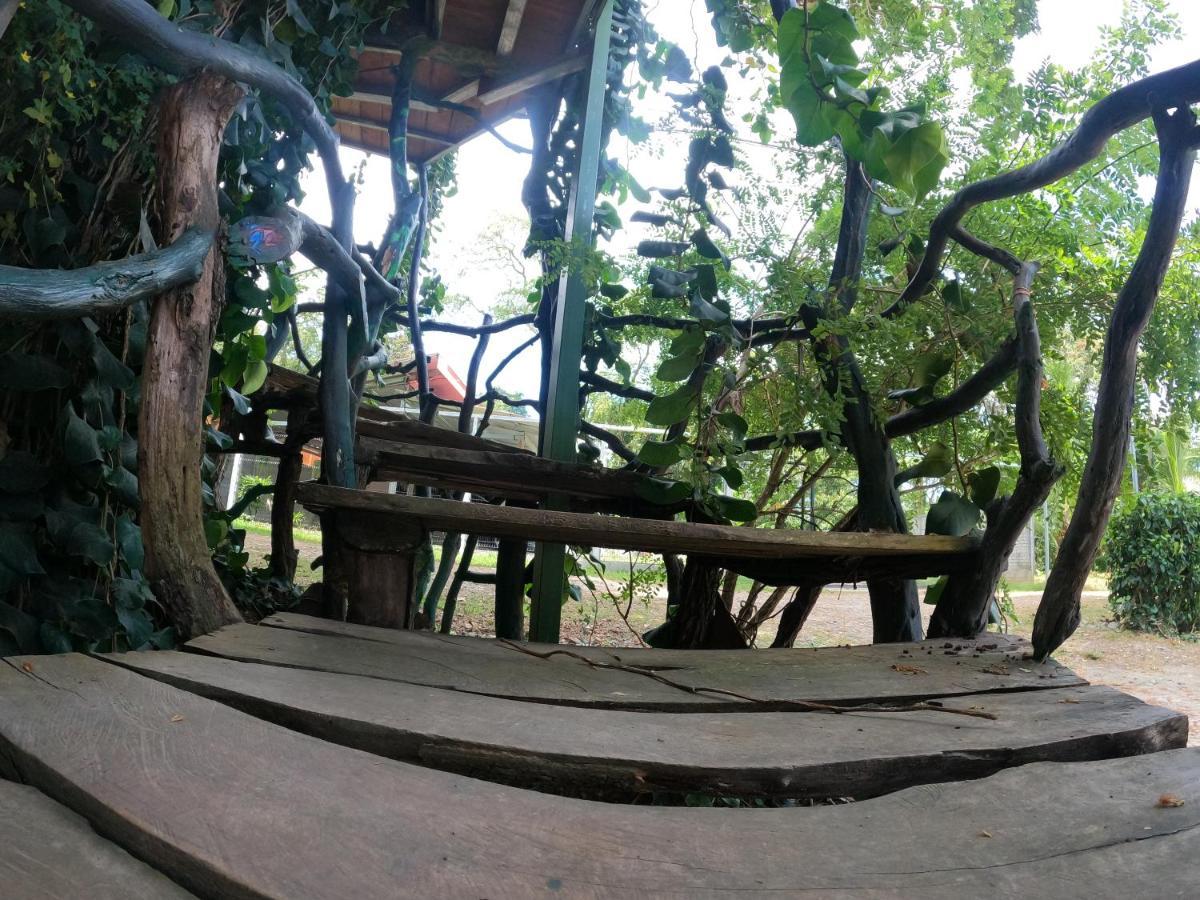 Tree House Samanea Lodge 利蒙港 外观 照片